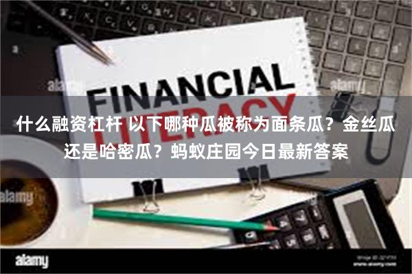 什么融资杠杆 以下哪种瓜被称为面条瓜？金丝瓜还是哈密瓜？蚂蚁庄园今日最新答案