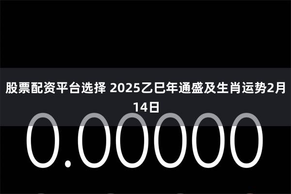 股票配资平台选择 2025乙巳年通盛及生肖运势2月14日